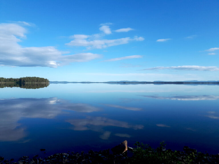 26 juni – 31 augusti, sommarutställning i Movikens Hamn, Bjuråker, Hudiksvall