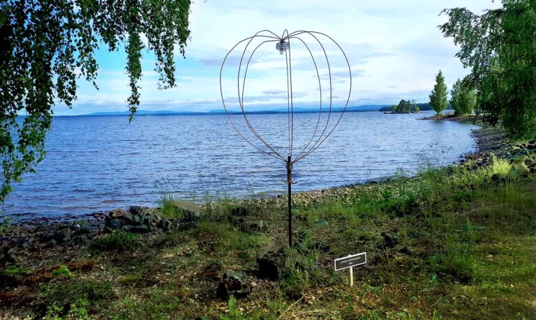 Under hela sommaren och fram till 27 aug, Konst i Hamn 2022, Norr Dellenstrand, Hälsingland