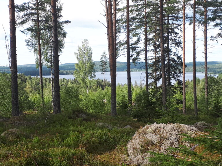 26 aug 2023, Alternativmässa, Kulturhuset i Hudiksvall