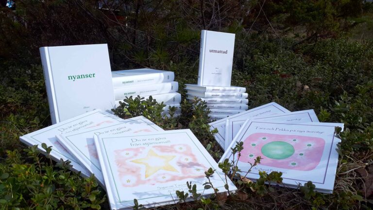 6 maj, 2023, Förlag Livsinspiration på Bollnäs bokmässa